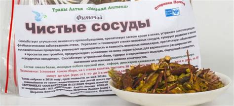 Как почистить сосуды в домашних условиях? Чистка сосудов народными ...