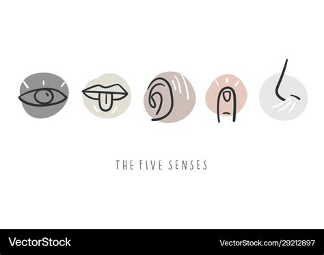 Simple icons representing five senses Royalty Free Vector