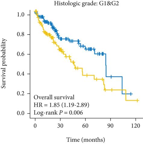 Kaplan Meier Survival Analysis In Clinical Subgroups Kaplan Meier Download Scientific Diagram