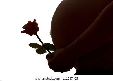 Naked Pregnant Woman Profile Images Stock Photos And Vectors Shutterstock