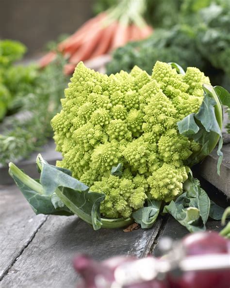 Brassica Oleracea Botrytis Group Andromanescoand Cauliflower Andromanescoand Annual Biennial Rhs