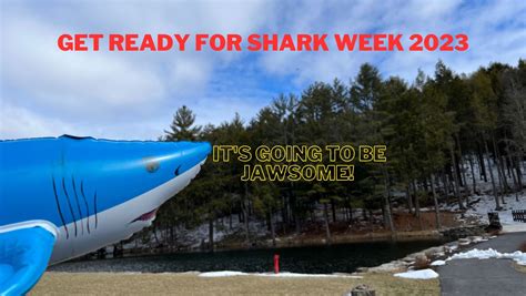 Get ready for Shark Week 2023 - We Love Sharks!