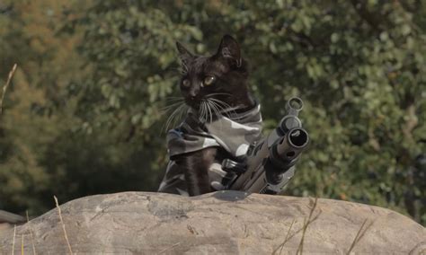 Cats Vs Zombies Is Here To Win The Internet Today The Robots Voice