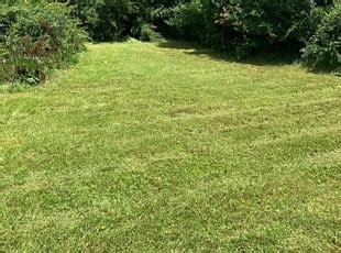 Decatur Ga Lawn Care Mowing Services From