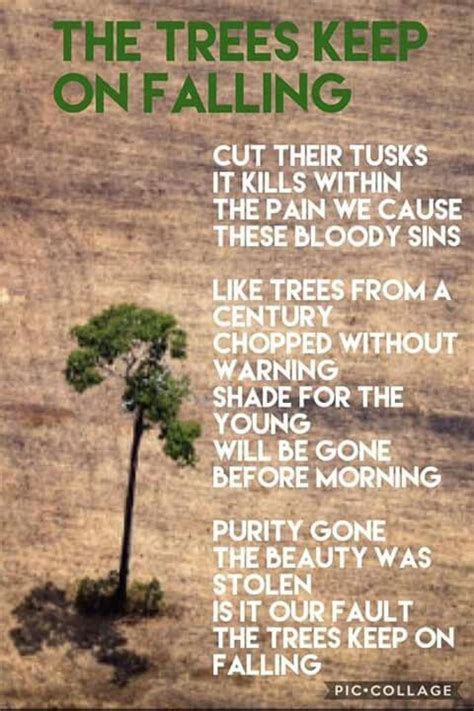 Poetry Rainforest Rainforests Animalsdeforestation Saveplanet