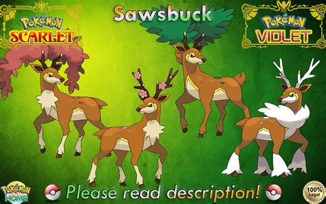 Sawsbuck