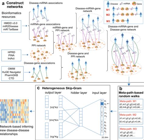 A Network Based Approach To Uncover Microrna Mediated Disease