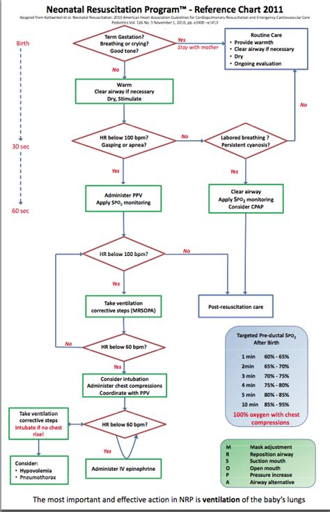 Nrp Flow Diagram Nrp Neonatal Resus Chart