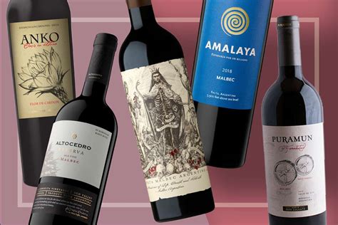 9 Bottles of Argentine Malbec to Buy Right Now