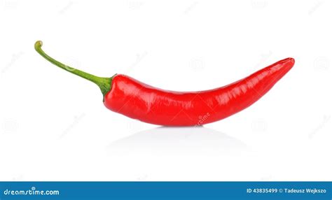 Pimenta Vermelha Piment O Isolado No Fundo Branco Imagem De Stock