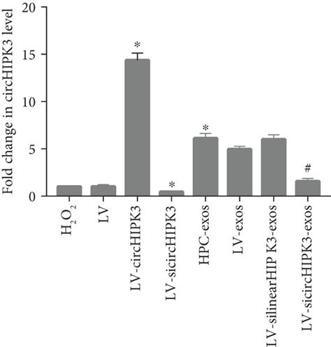 Circhipk Directly Binds To Mir A A Qrt Pcr Analysis Of The