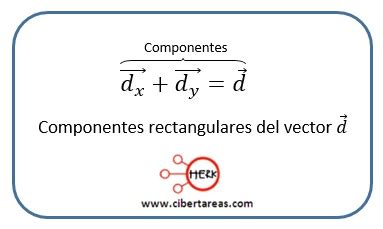 Componentes De Un Vector CiberTareas