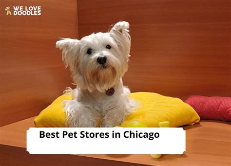 13 Best Pet Stores in Chicago!