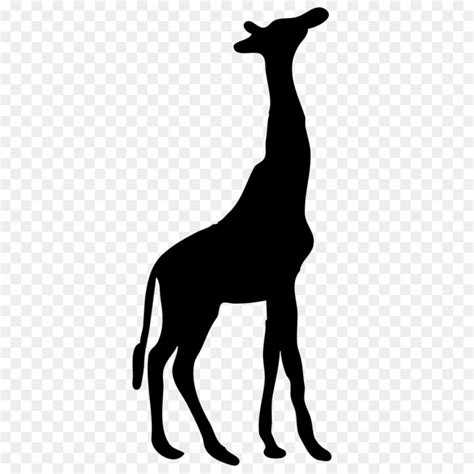 Free Svg Giraffe Silhouette - 298+ SVG Design FIle