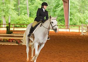 Horse Riding Lessons and Boarding - Edgebrook Equestrian Center