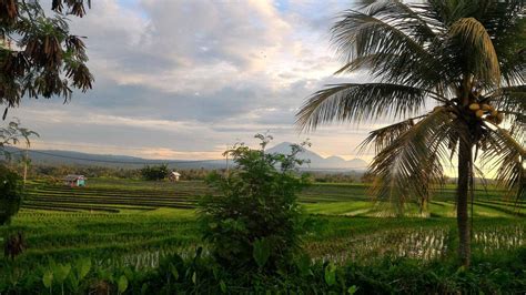 THE 15 BEST Things to Do in Tabanan - 2022 (with Photos) - Tripadvisor