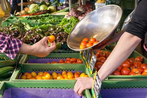 Persona Que Compra Tomates Frescos En Un Mercado De La Granja Foto De