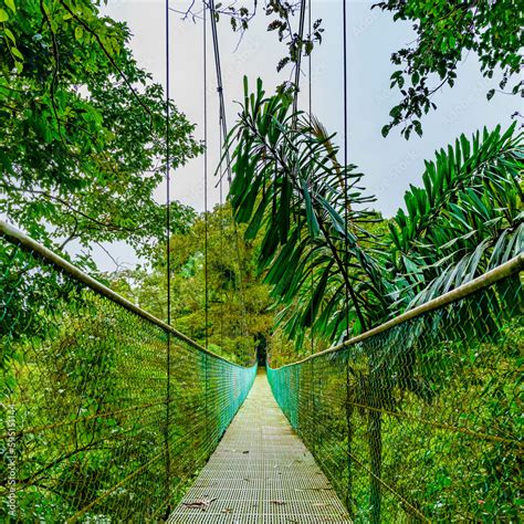 Suspension Bridge And Nature Of Sky Adventures Arenal Park La Fortuna