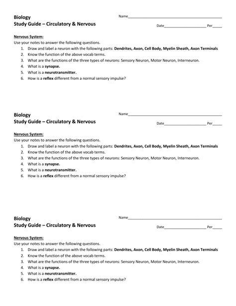 Label The Neuron Worksheet Answers