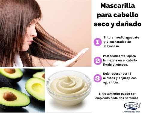 Remedio Para Cabello Seco Y Da Ado Mi Cabello Sano