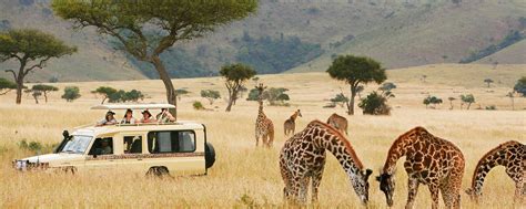 The Top 6 Attractions In East Africa | Saso Gorilla Safaris Uganda