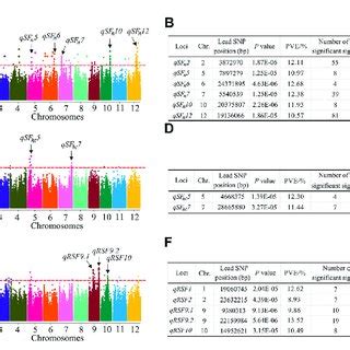 Identification Of The Candidate Genes For The Qtl Qrsf For Relative