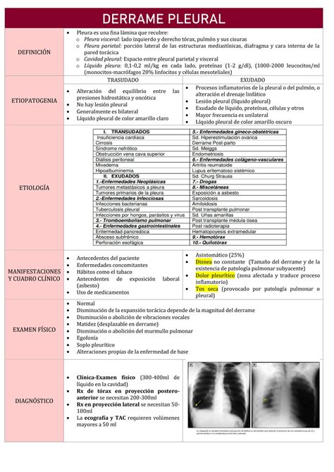 Solution Derrame Pleural Studypool