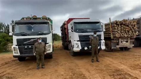 Cayó El Mentolato delincuente especializado en robo de madera en la