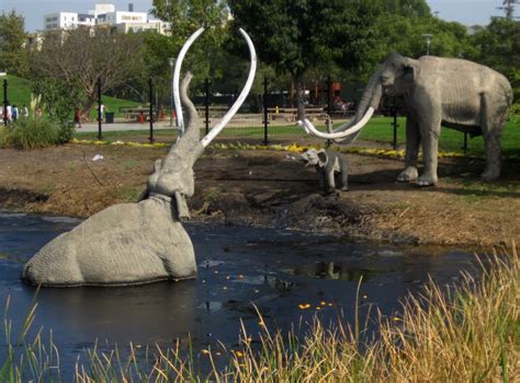 Life On The Open Road La Brea Tar Pits