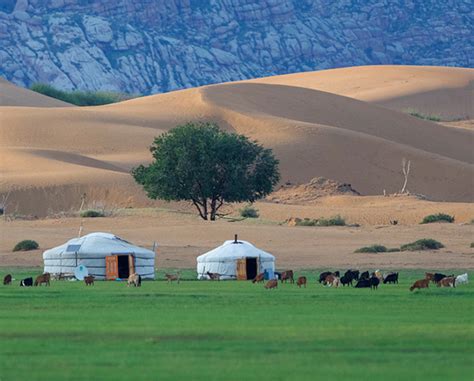 Best Time to Travel to Mongolia