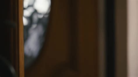 Watch Natalie Romances Reagan Foxx Shemale Porn Videos EPornTranny