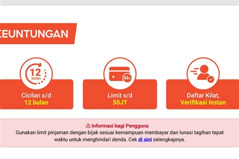 Syarat Dan Cara Mengaktifkan Shopee Paylater Dengan Gampang