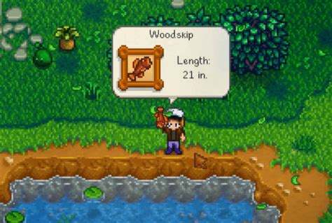 Woodskip Stardew Valley Guide Sdew Hq