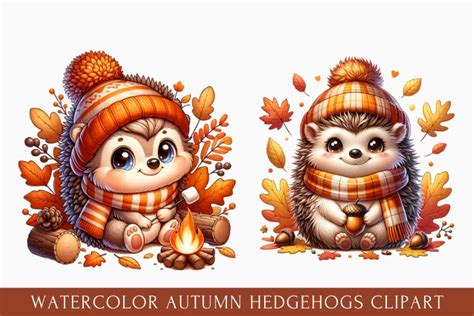 watercolor autumn hedgehog clipart, autumn hedgehog Clipart