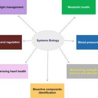 Systems Biology Approach For Understanding Big Data About Plants And