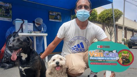 Lima Norte M S De Mil Perros Fueron Protegidos En Avance De La