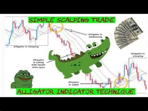 Trade Scalping Menggunakan Indicator Alligator Youtube