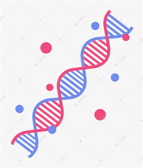 红蓝螺旋DNA素材图片免费下载 千库网