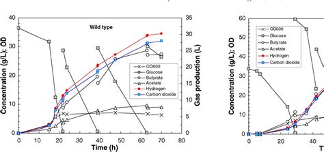 Butyric Acid And Hydrogen Production By Clostridium Tyrobutyricum ATCC