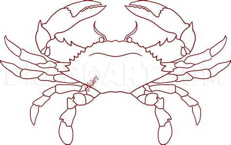 How To Draw A Crab Step By Step Drawing Guide By Dawn Dragoart