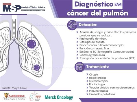 Cancer De Pulmon Tipos