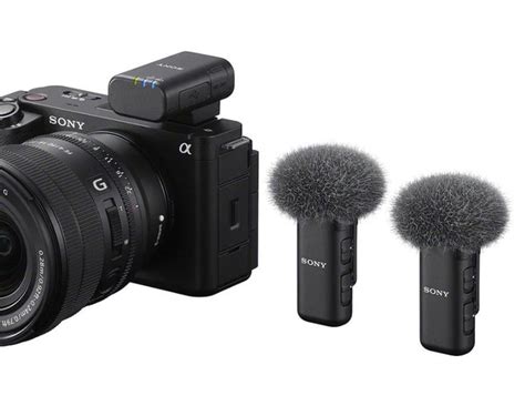 Микрофон для фото и видеокамер Sony ECM-W3 - купить по выгодной цене в ...