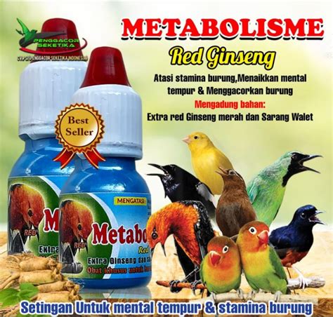 Metabolisme Red Gingseng Vitamin Suplemen Multivitamin Obat Doping