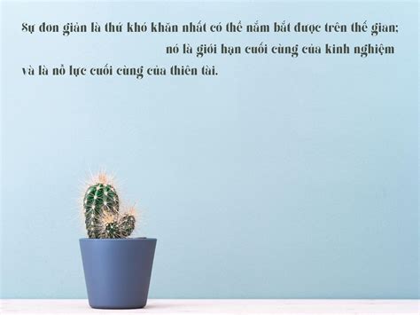 Tổng Hợp Những Câu Nói Hay Về Cuộc Sống Và Tình Yêu Bất Hủ Báo Đồng