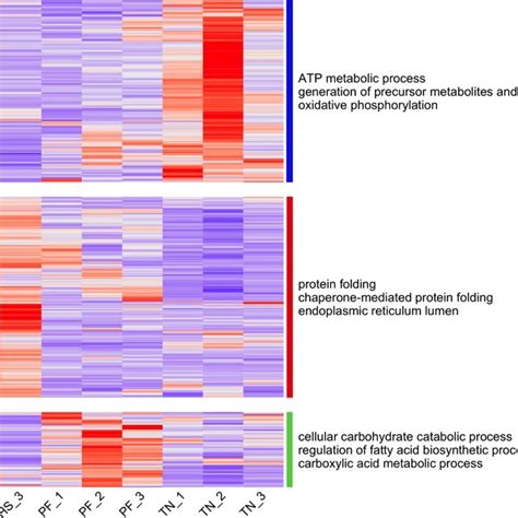 The Heatmap Of Deg Expression Levels The X Axis Shows The Samples The Download Scientific