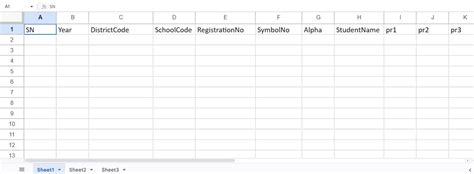 See Class 10 Practical Marks Entry Format And See Exam Center Format