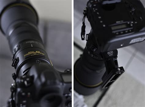 Nikon Af S 600mm F 4 E Fl Ed Vr Lens Review Part 1 Life Nature