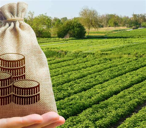 Valuations - Brown&Co