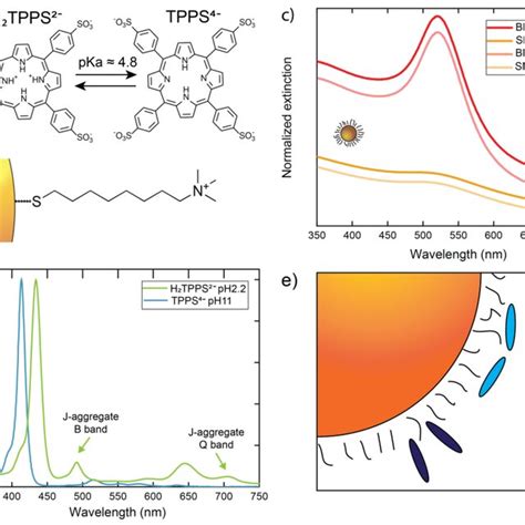 Components Of The Hybrid Systems A Molecular Structures Of