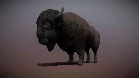 3drt Bison 3d Model By A18ce73 Sketchfab